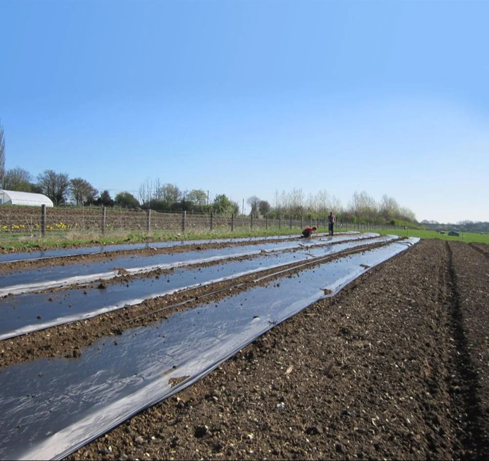 U Panel Bulk Bags: Uses and Features